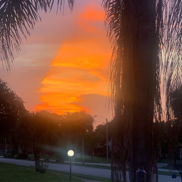 Meet your Posher, Deborah - Picture 9 of 15